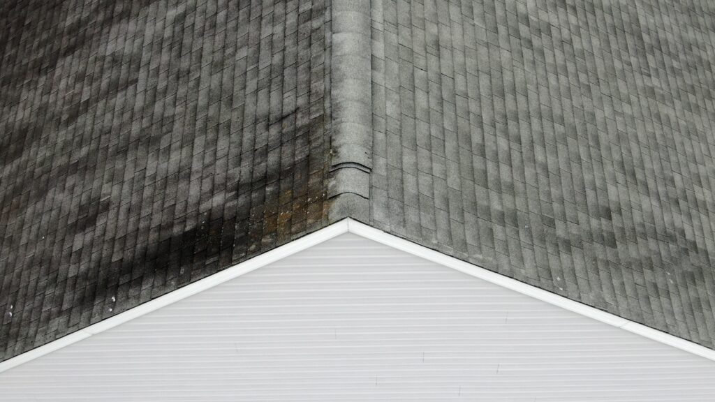 asphalt shingle roofing damage