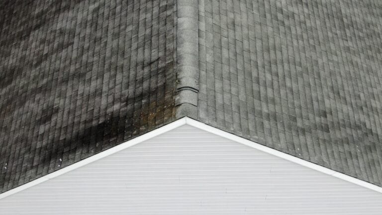 asphalt shingle roofing damage