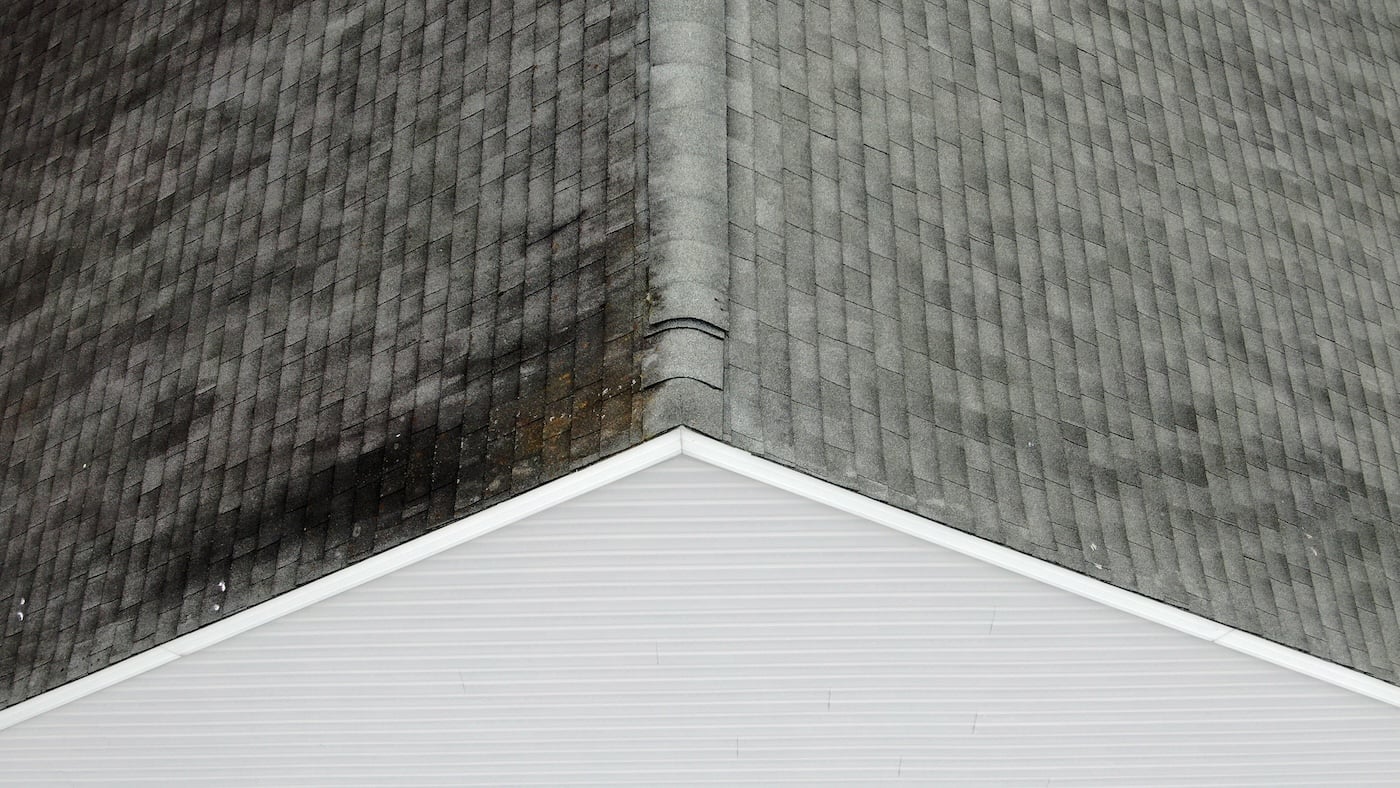 asphalt shingle roofing damage