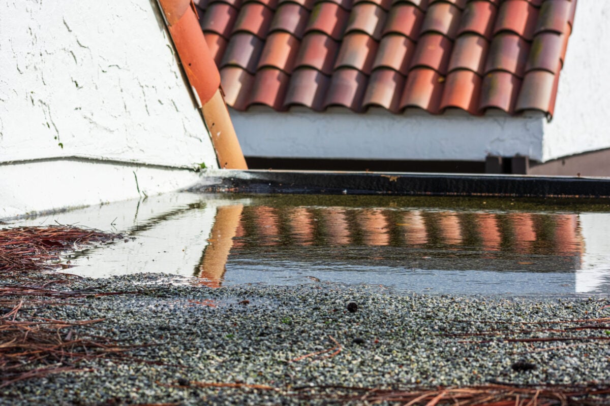 flat roof replacement Ponding water on flat roof covered with tree debris after heavy rain. Standing water is a sign of a drainage problem, clogged gutters and drains, roof settling or sagging, framing issue.